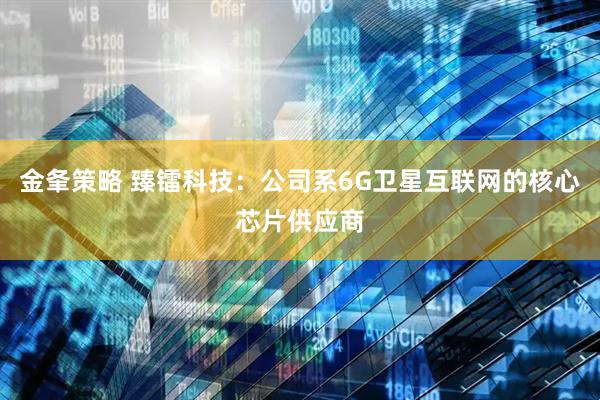 金夆策略 臻镭科技：公司系6G卫星互联网的核心芯片供应商